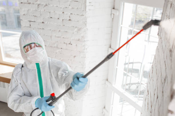 Best Forensic Mold Investigation  in Derby, CO